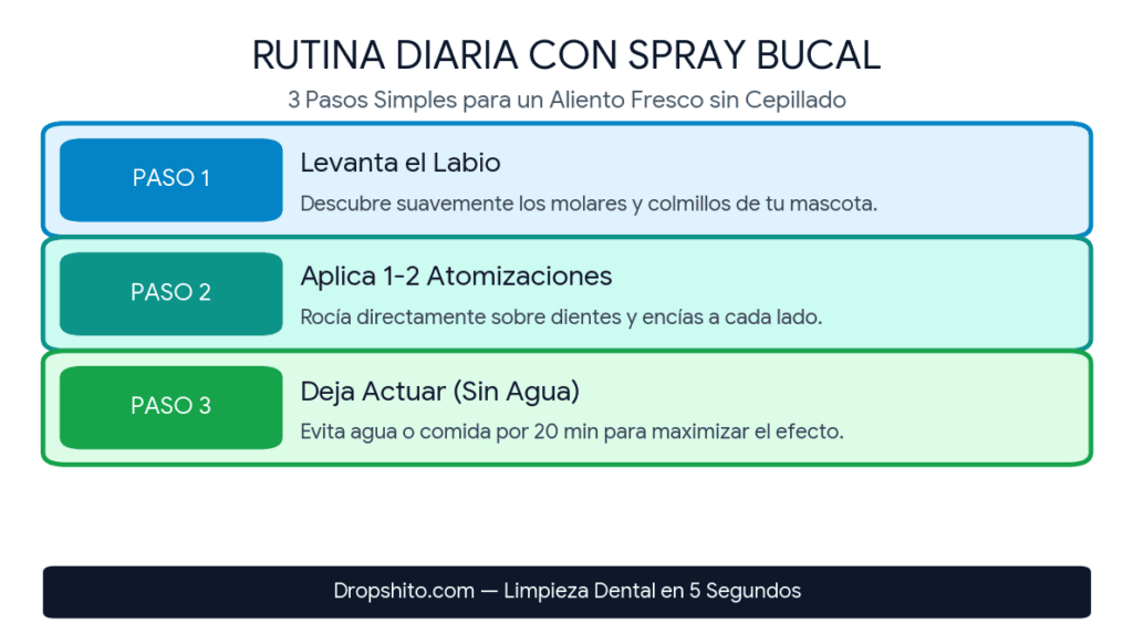 Infografía con los 3 pasos para aplicar el spray bucal para el mal aliento en perros sin cepillado.