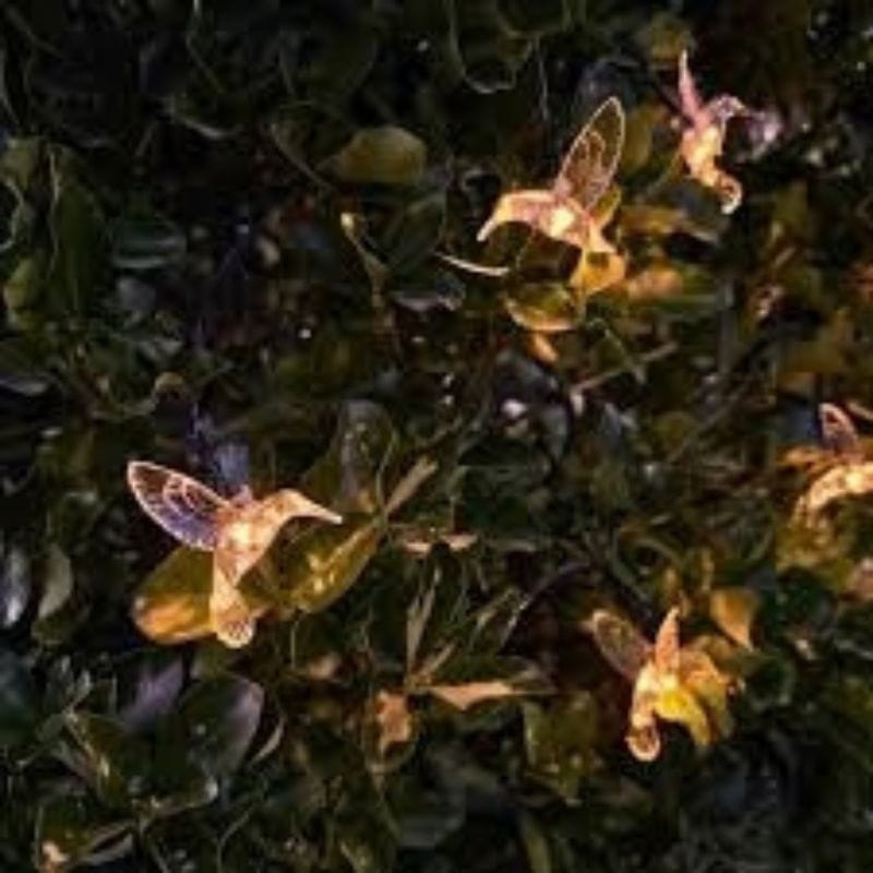 Guirnalda solar colibri luz calida en plantas de jardin